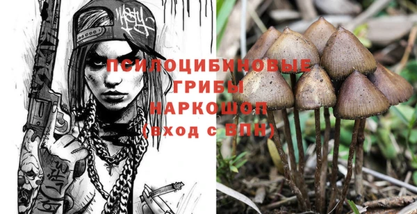 герыч Нягань