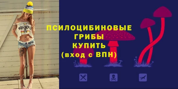 круглые Алексеевка