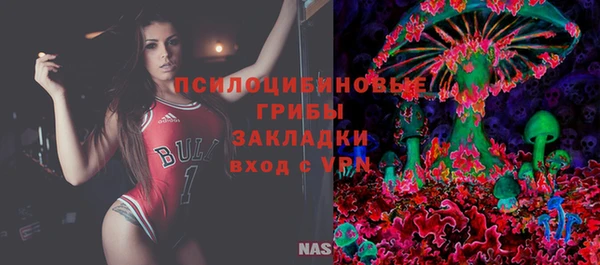 твердый Алексин