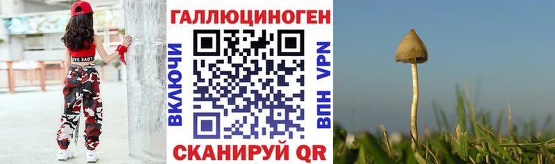 Галлюциногенные грибы Psilocybe  маркетплейс Telegram  Кемерово 