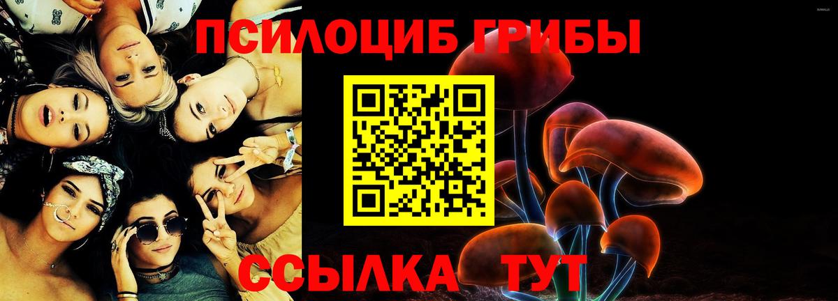 Псилоцибиновые грибы Cubensis Кемерово