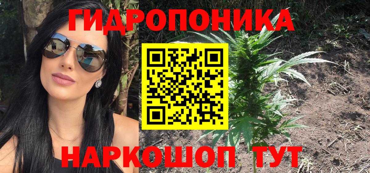 Шишки марихуана сатива  Бошки Шишки THC 21%  Кемерово  Вход с VPN  Шишки марихуана VHQ 